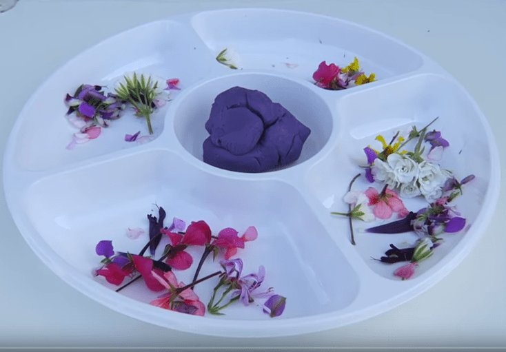 Wonderland Baby Excercises, Wonderland Educare baby Activities